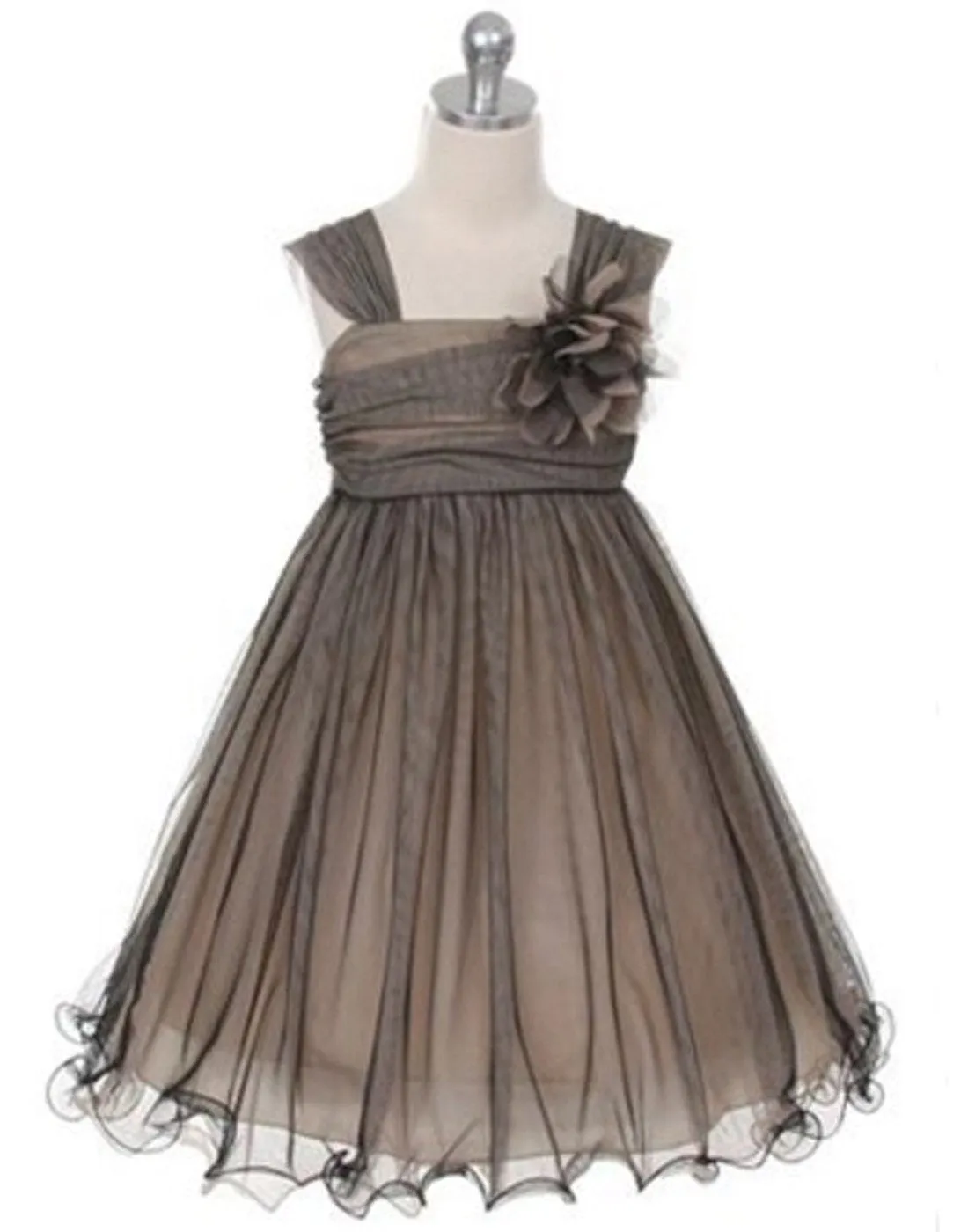 Compelling Mesh and Taffeta Overlay Dress - Black / Champagne