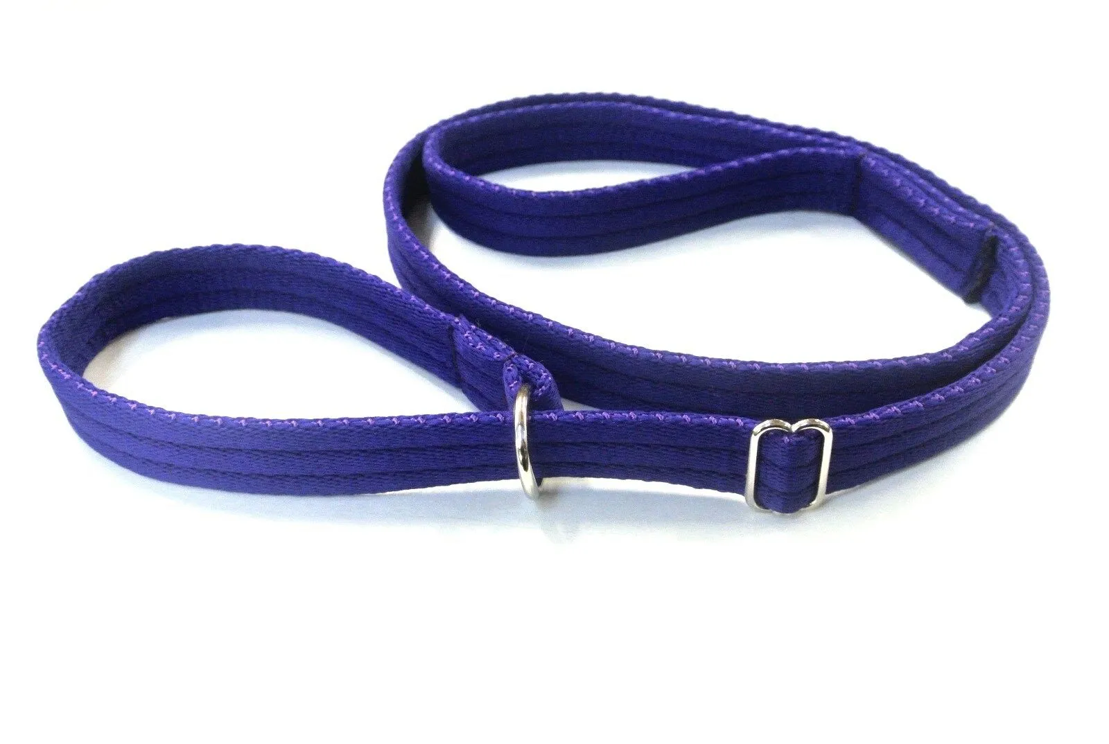 Dog Slip Leads Training Obedience Walking Leash 60"/5ft Long 20mm 25mm Air Webbing 24 Colours