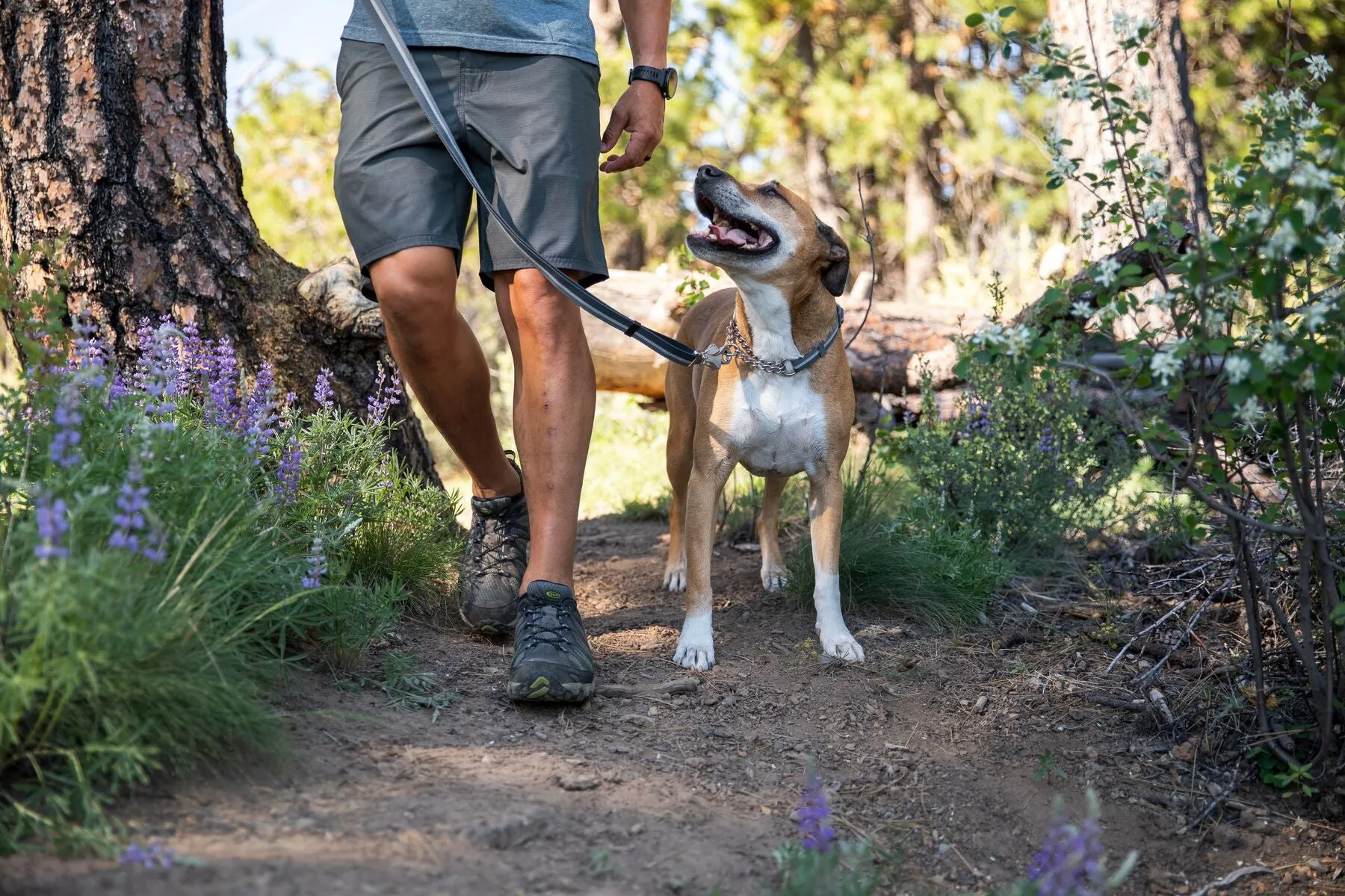 Ruffwear: Chain Reaction Dog Collar